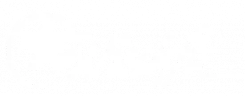 Wischfix